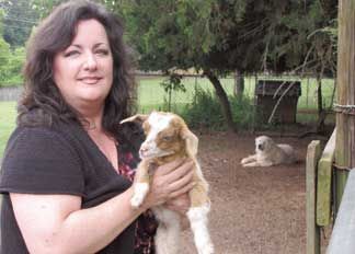 Small farm features 'fainting goats'