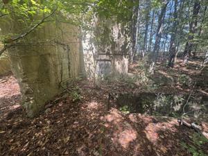 Historic Hampton cemetery raises questions over ownership and preservation