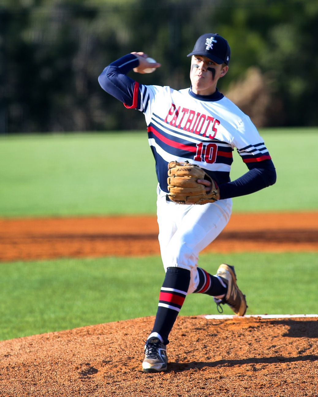 2018 AllHenry County Baseball Team Sports