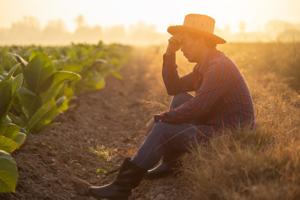 Protect your body and mind from extreme heat in Georgia agriculture