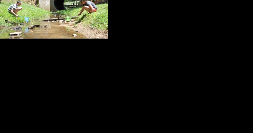 Comprehensive Master Plan approved for Henry County parks and recreation - Vimarsana News