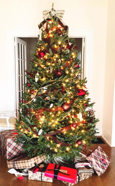 Recycling Center Accepting Live Christmas Trees Features