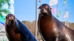 NASCAR weekend to feature action on and off the track