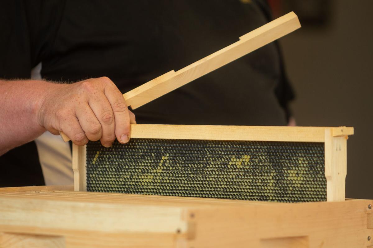 20210913_hd_beekeeping