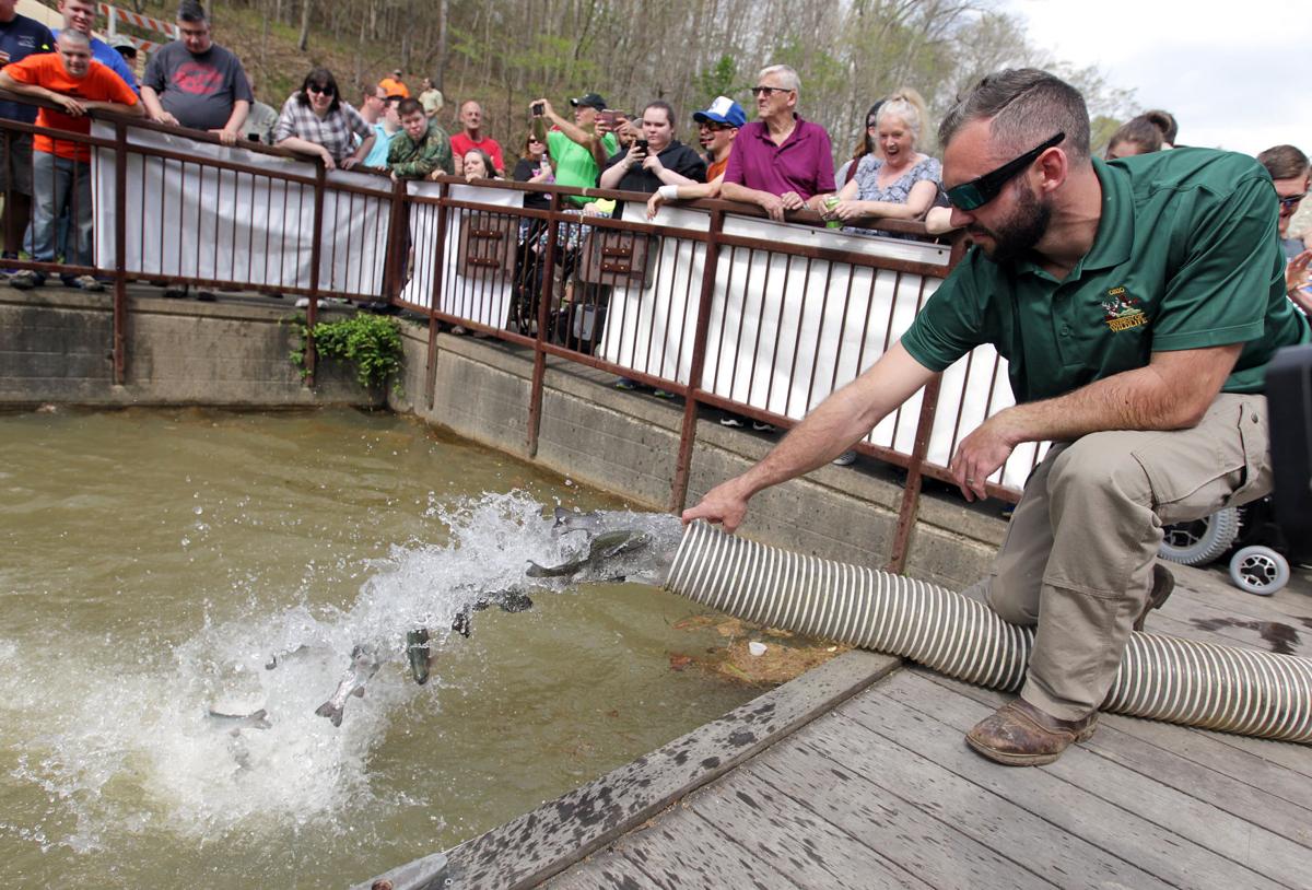 Wheelin' Sportsmen enjoy Lake Vesuvius trout release Ohio News