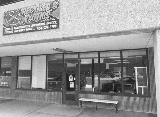 New Exotic Pet Store To Open In Downtown Huntington Herald