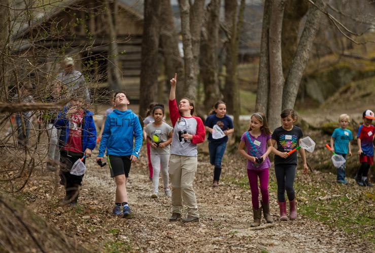 Children learn about nature at Heritage Farm camp | News | herald ...