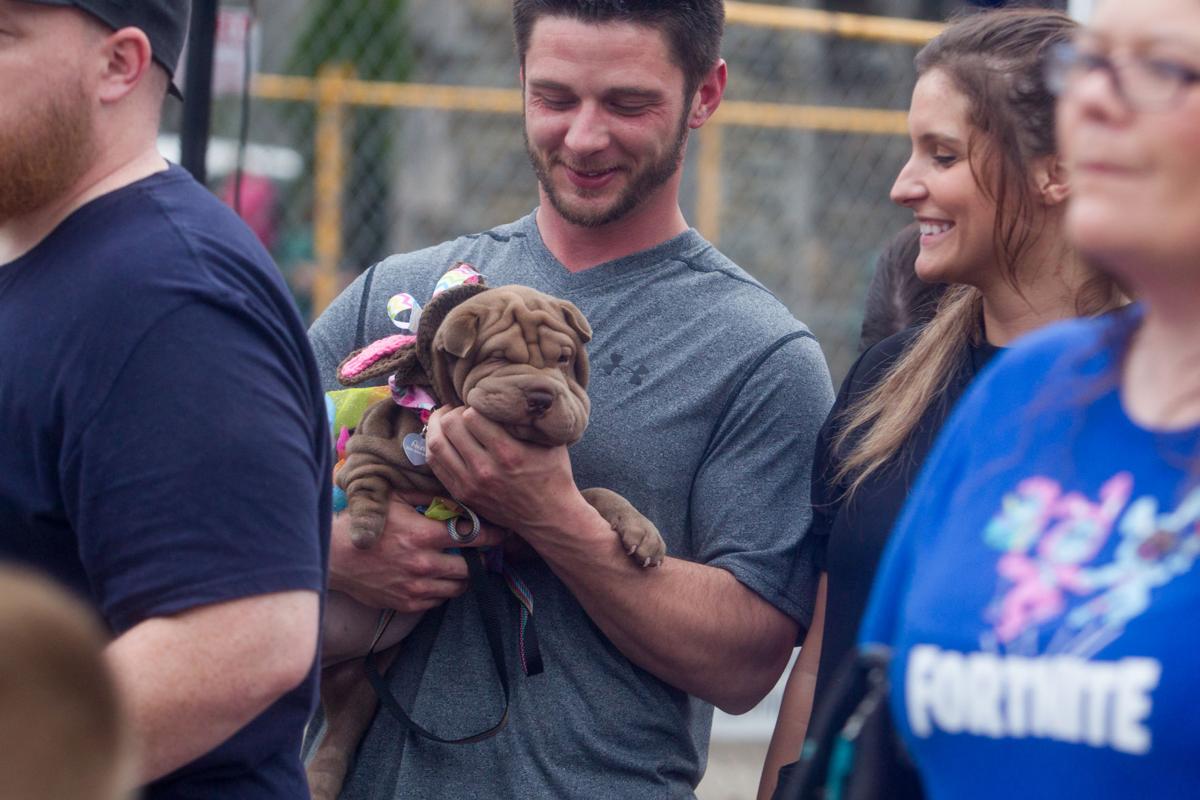 Photos Paws In The Park Easter Egg Hunt And Costume Contest Multimedia Herald Dispatch Com