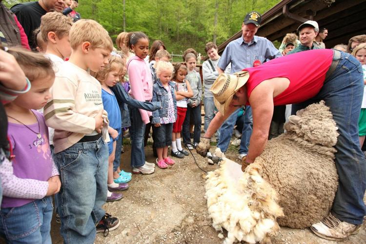 Gallery: Heritage Farm Village Spring Festival | Photos News | herald ...