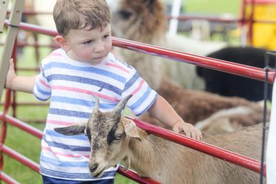 Greenup County Fair Schedule 2022