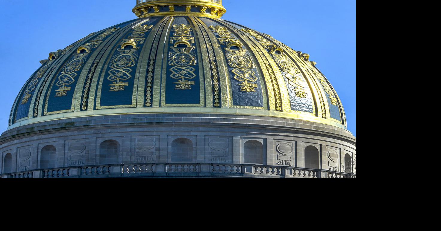 Election 2024 WV amendment & medically assisted suicide Election