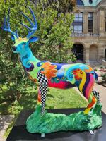 Tickets still available for artisans soiree, auction, to benefit Hoops Children's Hospital