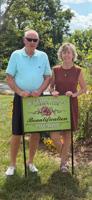 Beverly Hills Garden Club names August Beautification Award recipient