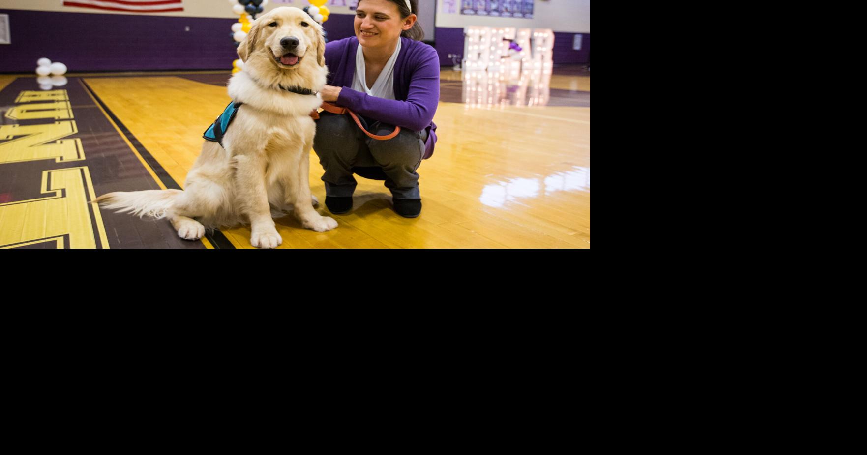 Photos: 