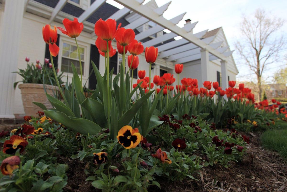 Stones Flowers Huntington Wv Best Flower Site