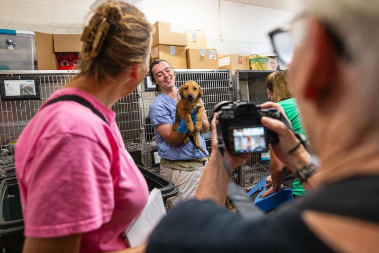 National animal advocate nonprofit visits local shelter, tours new ...
