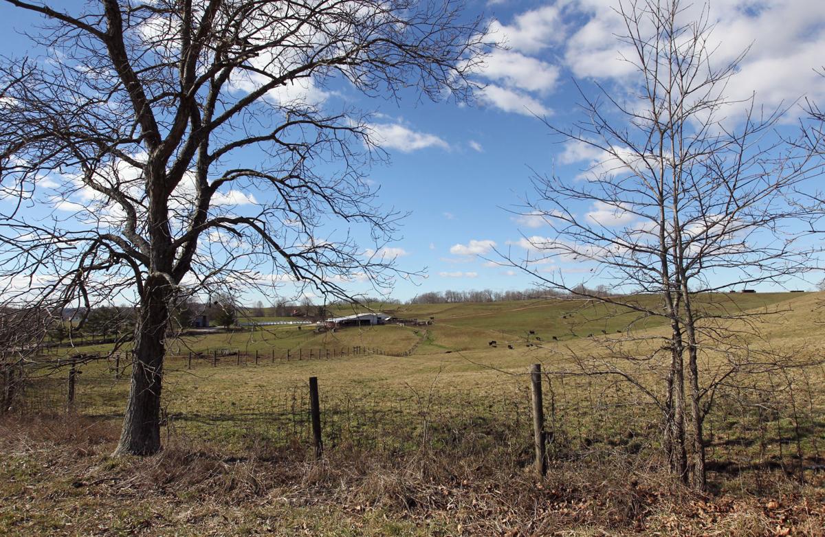 Photos Champion Hill Cattle Farm in Bidwell, Ohio Multimedia
