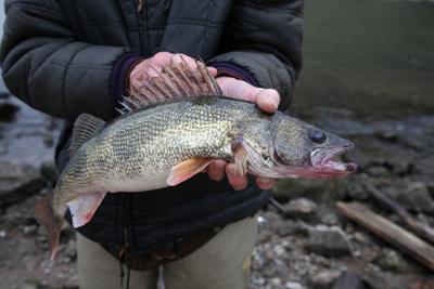 Kentucky Announces Some Changes In Ohio River Fishing Regulations