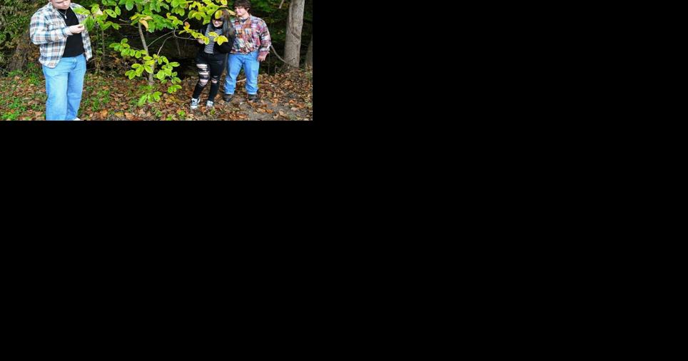 Southern WV adventure tourism program branching out with focus on chestnut trees - Vimarsana News