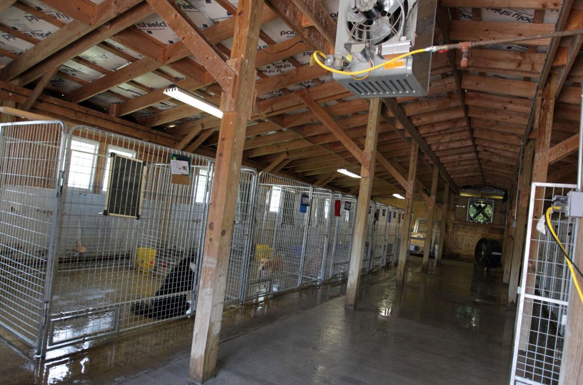 Photos Huntington Cabell Wayne Animal Shelter Grand Opening and Naming