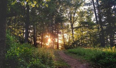 Meeks Mountain trails