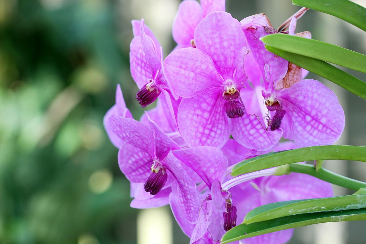 Gallery Huntington Museum of Art Photos News