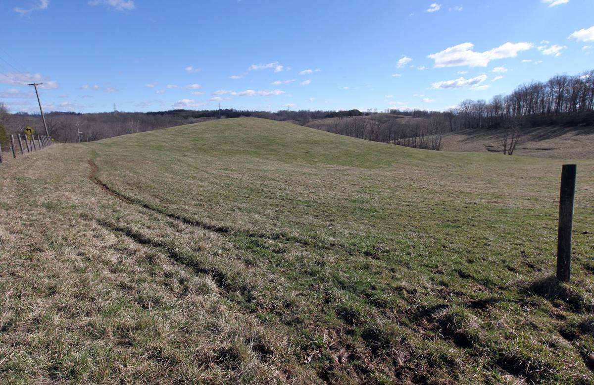 Photos Champion Hill Cattle Farm in Bidwell, Ohio Multimedia