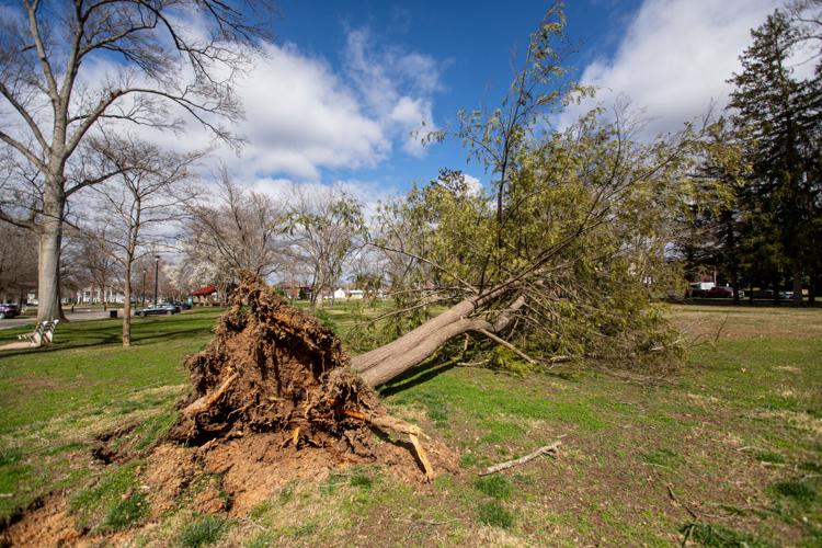 High winds take down power lines, trees | News | herald-dispatch.com