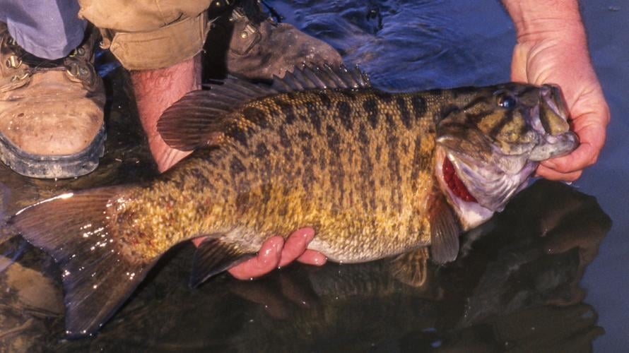 Kayak Bass Fishing  Norfolk County Ontario 