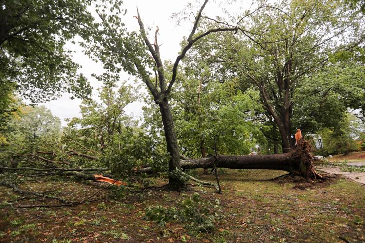 Power outages, downed trees reported in Tri-State as Hurricane Helene ...