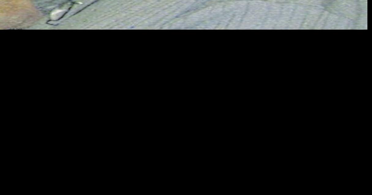 James Allen Chapman West Virginia