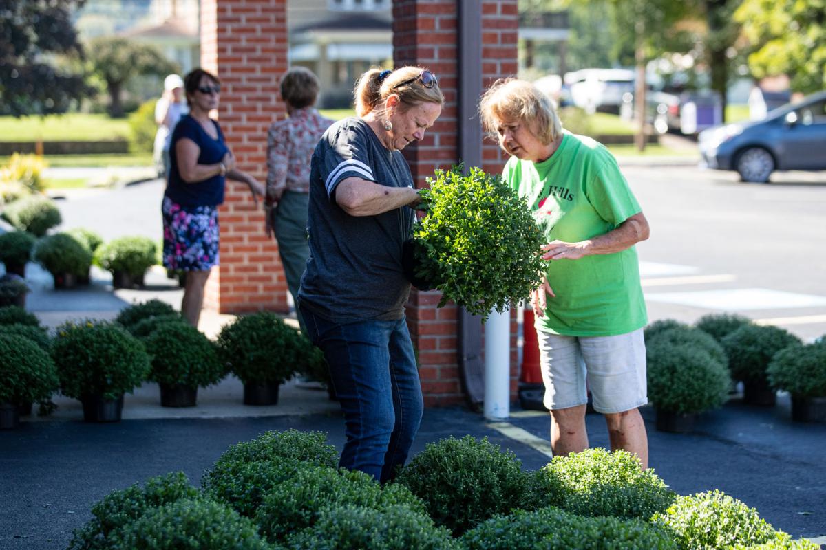 20210918 mums 05.jpg