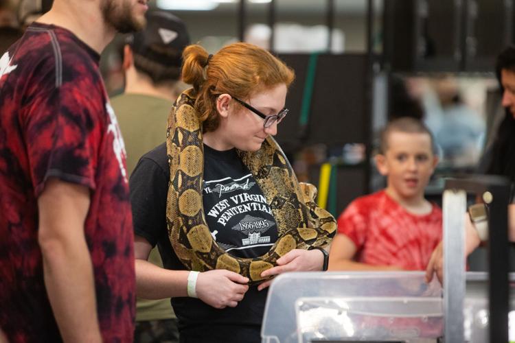 Photos West Virginia Reptile Expo at the DoubleTree Multimedia