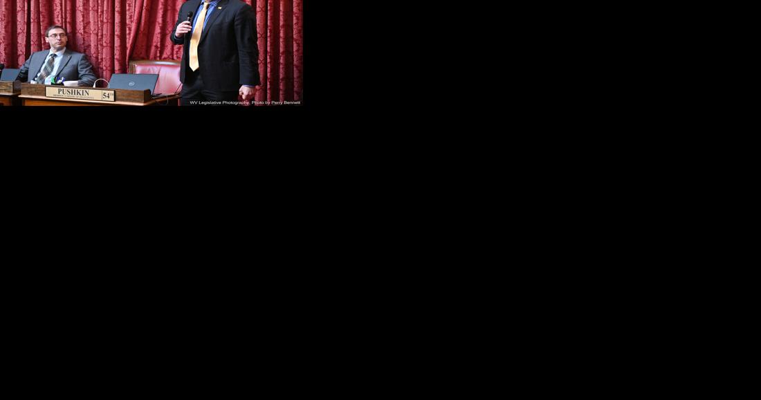 House of Delegates passes tax cut bill after Dems' amendment fails - Vimarsana News