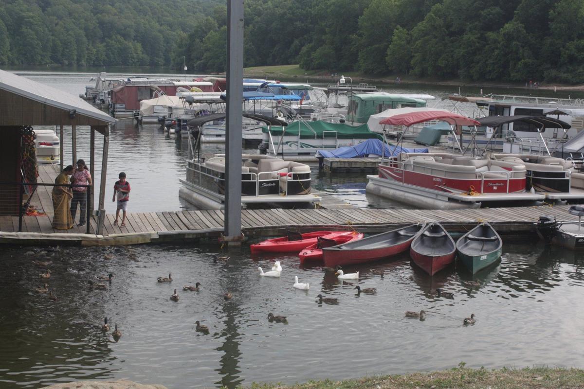 Gallery Beech Fork Marina Photos News