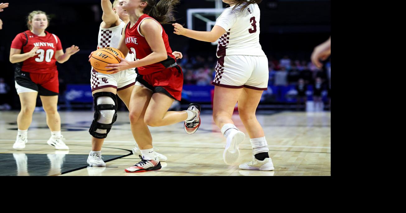 Prep girls basketball: Wayne's Sammons cracks Class AA all-state first team