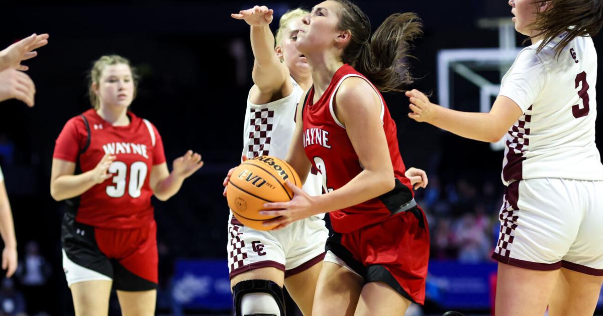 Prep girls basketball: Wayne's Sammons cracks Class AA all-state first team