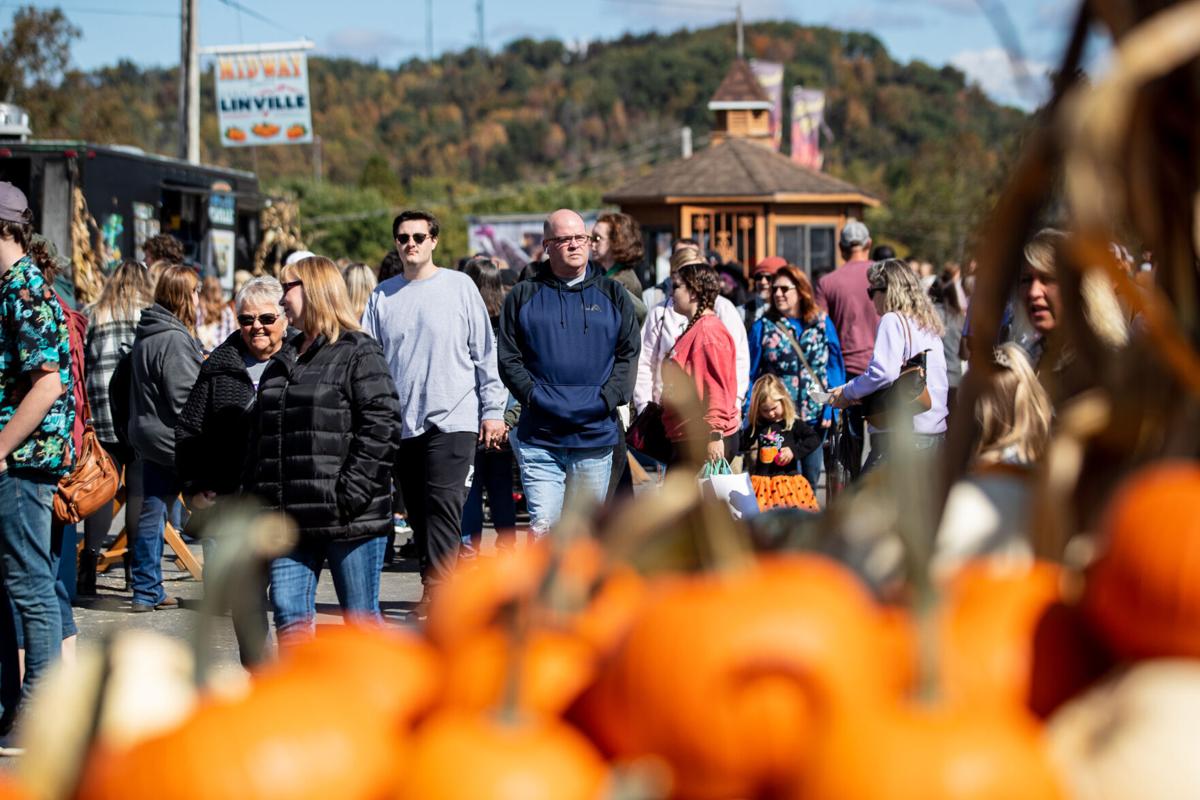 Thousands come to see thousandpound pumpkins at festival in Milton