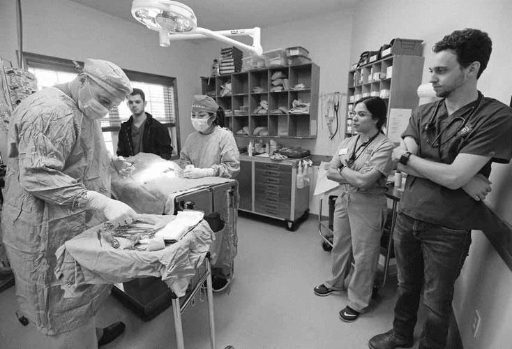 Vet students gain valuable experience in Proctorville herald