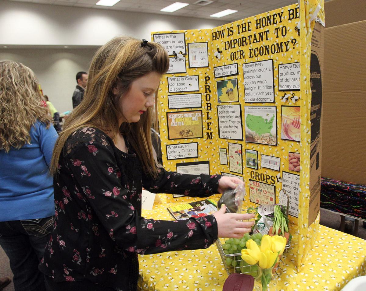 Kids explore their interests in regional social studies fair ...