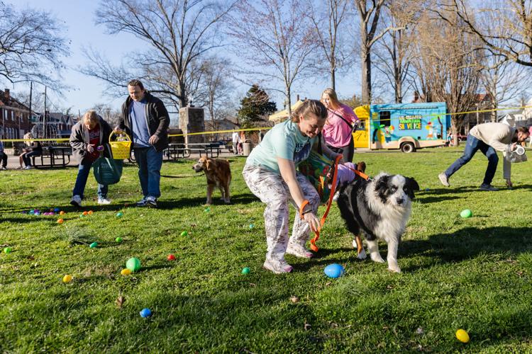 Dogs enjoy annual egg hunt event; more Easter activities planned | News ...