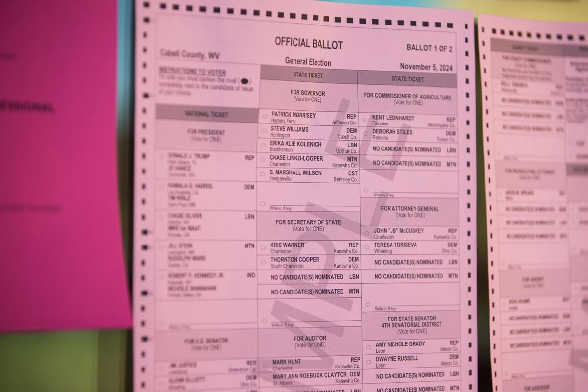 WV sample ballots available online ahead of November election ...