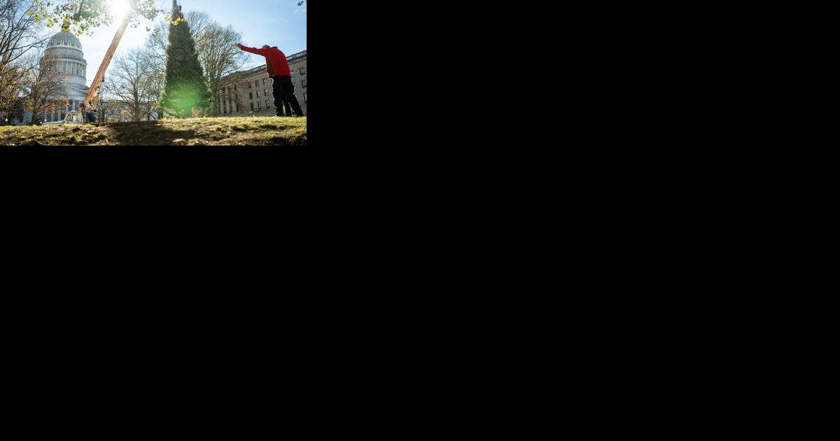 Morgantown Christmas tree farmer donates Canaan firs to Capitol Complex - Vimarsana News