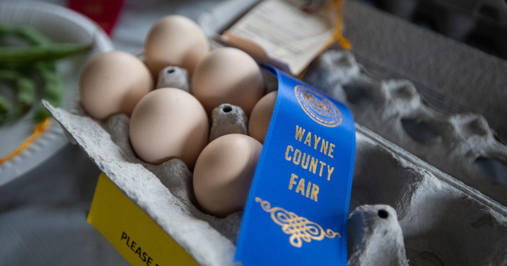 Wayne County Fair kicks off Thursday at Camden Park - Vimarsana News