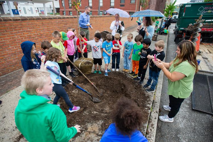 20250425_hd_arborday