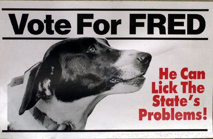 FRED THE DOG