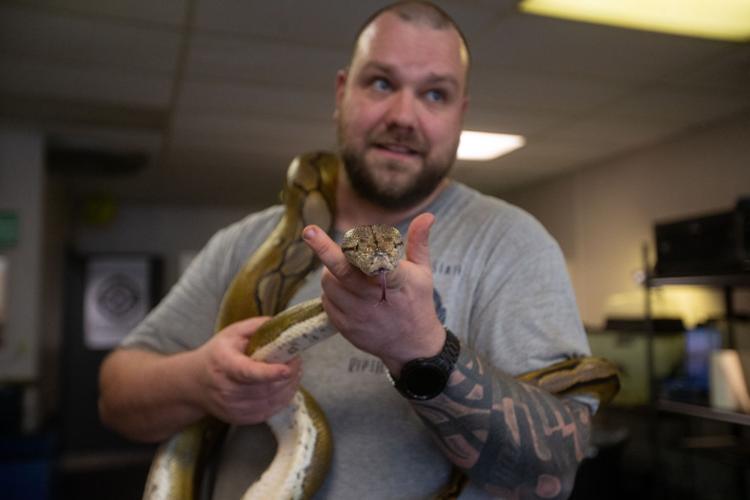 Photos Mountain State Reptile Rescue Multimedia
