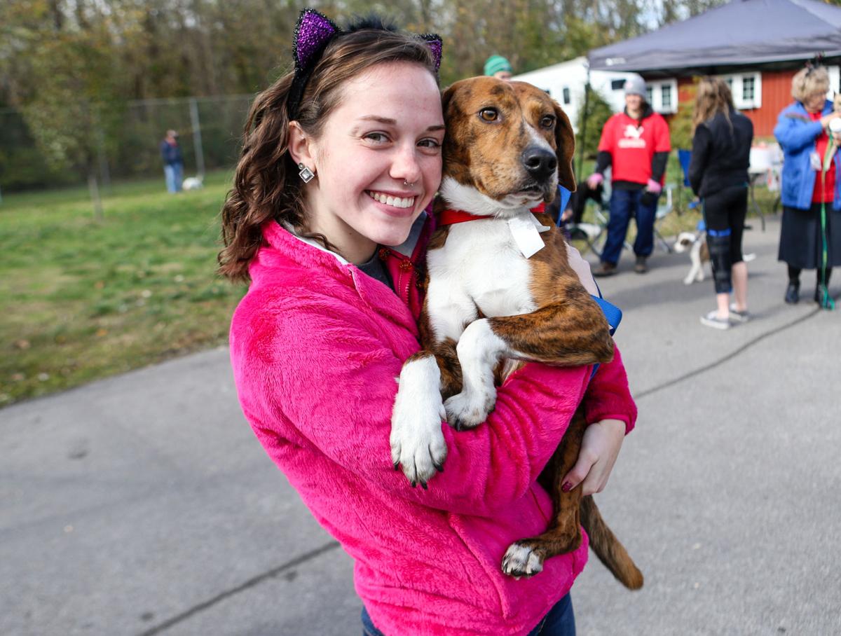 Huntington Cabell Wayne Animal Shelter