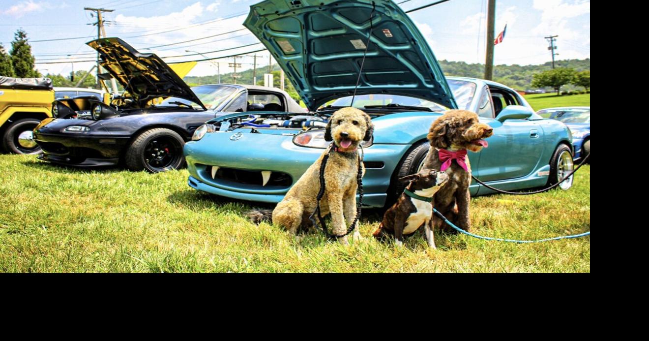 Paws & Pistons Car and Pet Show to benefit Putnam County Animal Shelter
