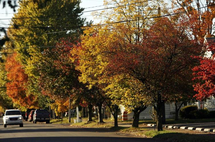 Gallery Ceredo, West Virginia Photo Galleries